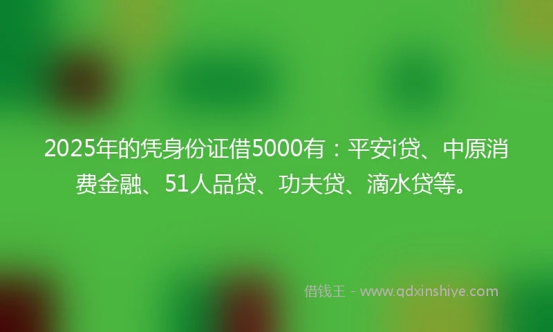 2025年的凭身份证借5000有：平安i贷、中原消费金融、51人品贷、功夫贷、滴水贷等。