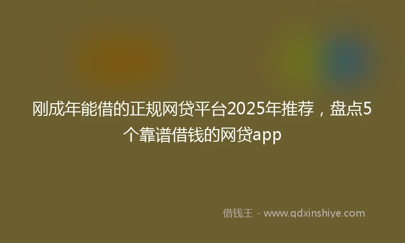 刚成年能借的正规网贷平台2025年推荐，盘点5个靠谱借钱的网贷app
