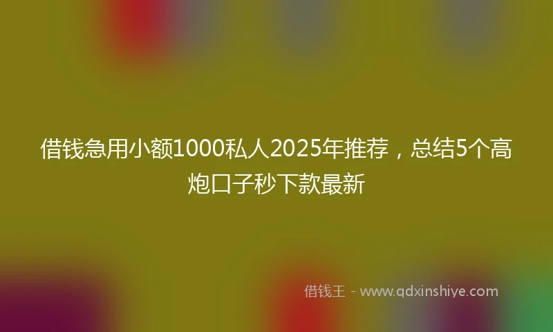 借钱急用小额1000私人2025年推荐，总结5个高炮口子秒下款最新