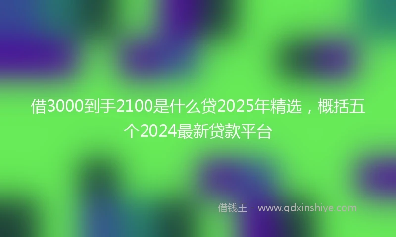 借3000到手2100是什么贷2025年精选，概括五个2024最新贷款平台