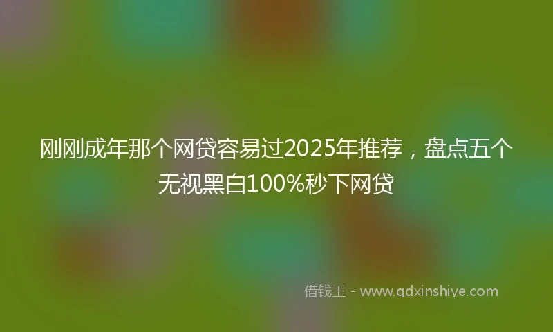 刚刚成年那个网贷容易过2025年推荐，盘点五个无视黑白100%秒下网贷