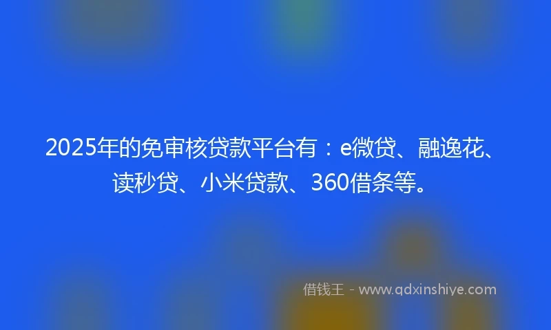 2025年的免审核贷款平台有：e微贷、融逸花、读秒贷、小米贷款、360借条等。