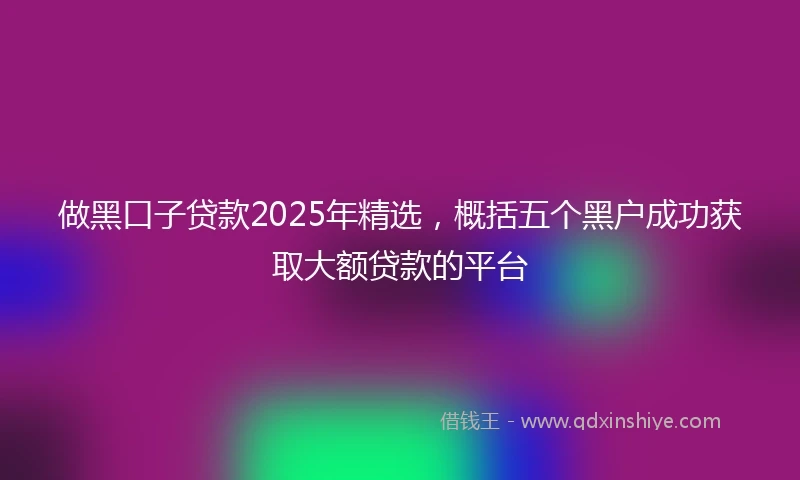 做黑口子贷款2025年精选，概括五个黑户成功获取大额贷款的平台