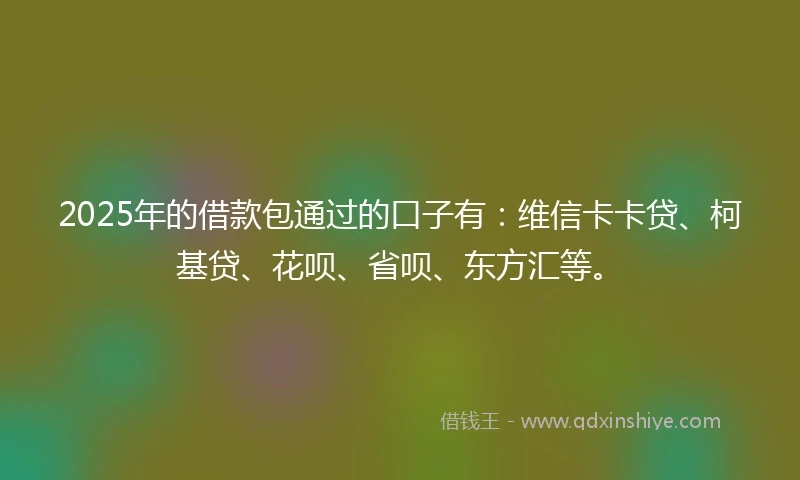 2025年的借款包通过的口子有:维信卡卡贷、柯基贷、花呗、省呗、东方汇等。