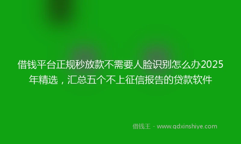 借钱平台正规秒放款不需要人脸识别怎么办2025年精选，汇总五个不上征信报告的贷款软件