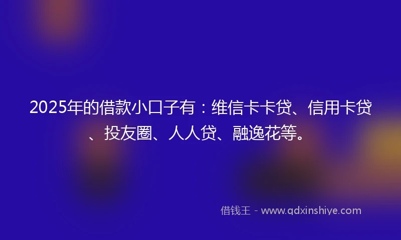 2025年的借款小口子有:维信卡卡贷、信用卡贷、投友圈、人人贷、融逸花等。