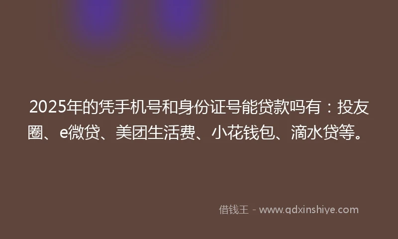 2025年的凭手机号和身份证号能贷款吗有：投友圈、e微贷、美团生活费、小花钱包、滴水贷等。