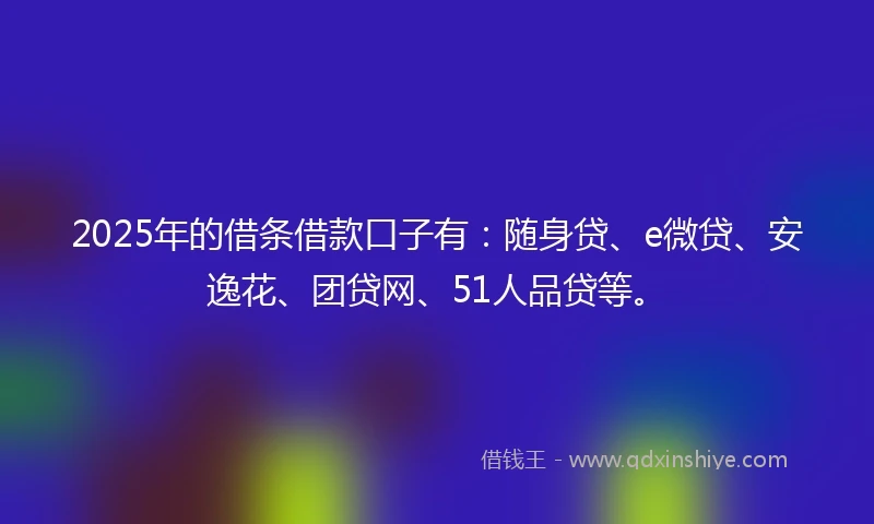 2025年的借条借款口子有：随身贷、e微贷、安逸花、团贷网、51人品贷等。