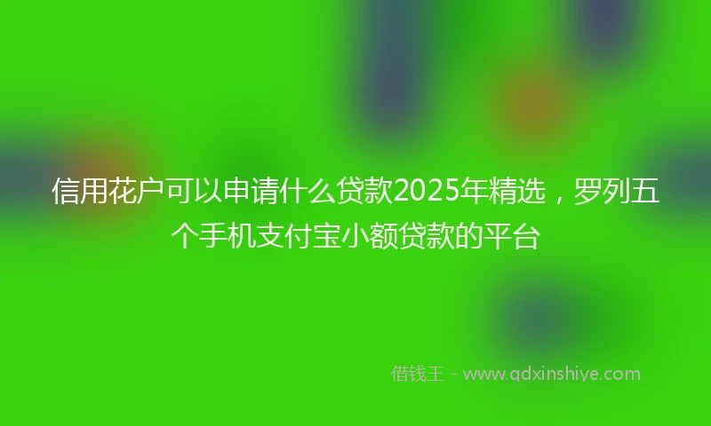 信用花户可以申请什么贷款2025年精选,罗列五个手机支付宝小额贷款的平台