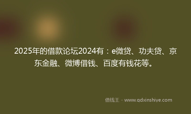 2025年的借款论坛2024有：e微贷、功夫贷、京东金融、微博借钱、百度有钱花等。
