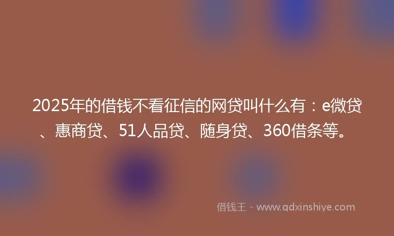 2025年的借钱不看征信的网贷叫什么有：e微贷、惠商贷、51人品贷、随身贷、360借条等。