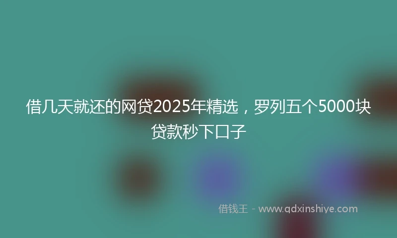 借几天就还的网贷2025年精选，罗列五个5000块贷款秒下口子