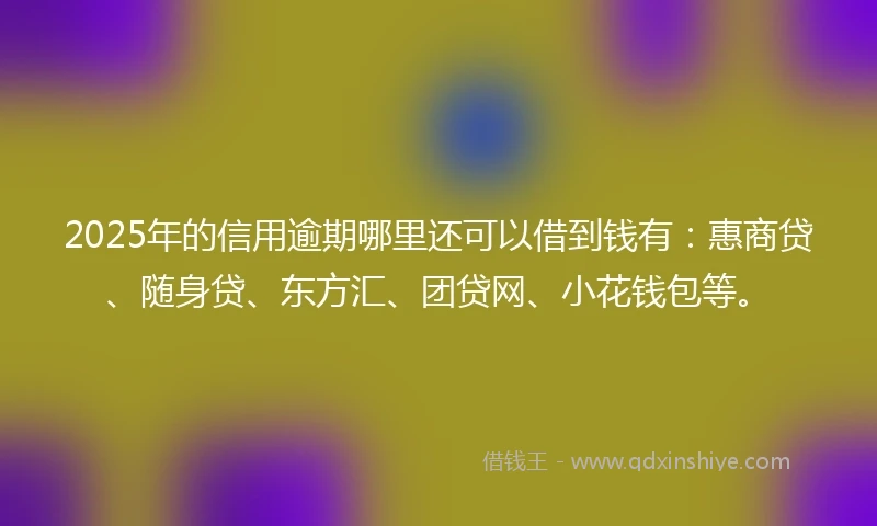 2025年的信用逾期哪里还可以借到钱有：惠商贷、随身贷、东方汇、团贷网、小花钱包等。