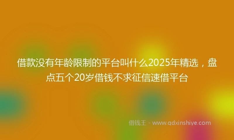 借款没有年龄限制的平台叫什么2025年精选，盘点五个20岁借钱不求征信速借平台
