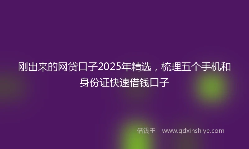 刚出来的网贷口子2025年精选，梳理五个手机和身份证快速借钱口子