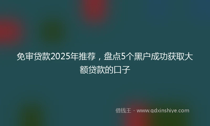免审贷款2025年推荐，盘点5个黑户成功获取大额贷款的口子