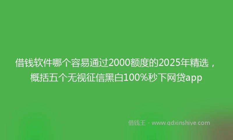 借钱软件哪个容易通过2000额度的2025年精选，概括五个无视征信黑白100%秒下网贷app