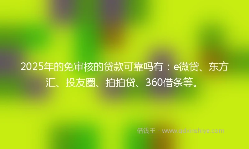 2025年的免审核的贷款可靠吗有：e微贷、东方汇、投友圈、拍拍贷、360借条等。