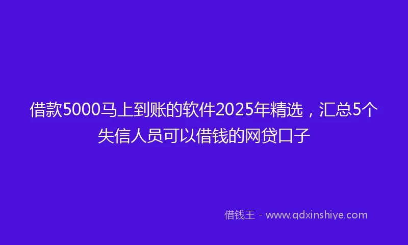 借款5000马上到账的软件2025年精选，汇总5个失信人员可以借钱的网贷口子