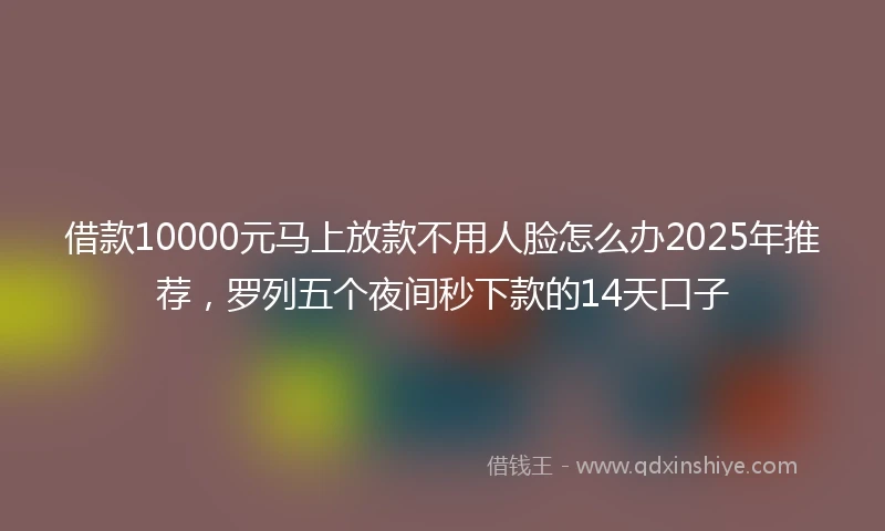 借款10000元马上放款不用人脸怎么办2025年推荐，罗列五个夜间秒下款的14天口子