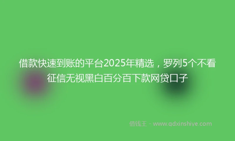 借款快速到账的平台2025年精选，罗列5个不看征信无视黑白百分百下款网贷口子