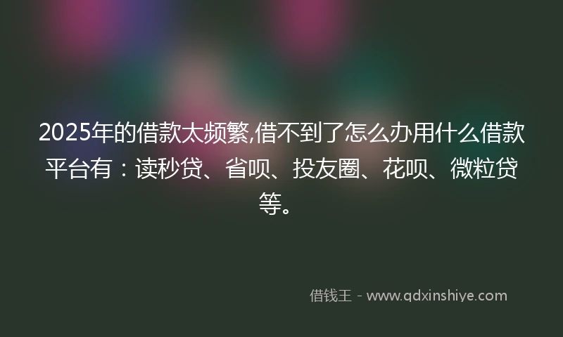 2025年的借款太频繁,借不到了怎么办用什么借款平台有:读秒贷、省呗、投友圈、花呗、微粒贷等。