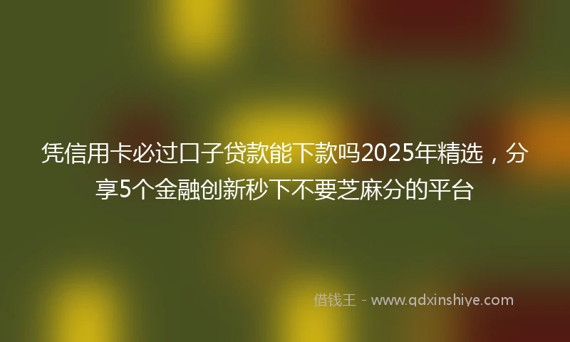 凭信用卡必过口子贷款能下款吗2025年精选，分享5个金融创新秒下不要芝麻分的平台