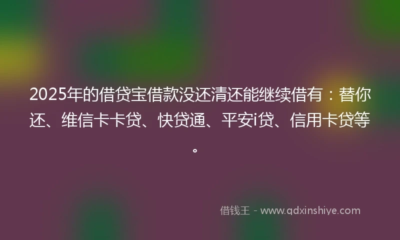 2025年的借贷宝借款没还清还能继续借有：替你还、维信卡卡贷、快贷通、平安i贷、信用卡贷等。