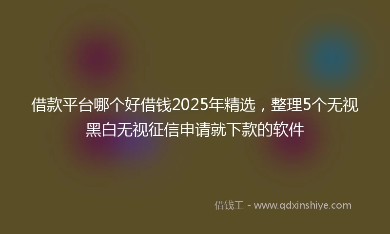 借款平台哪个好借钱2025年精选，整理5个无视黑白无视征信申请就下款的软件
