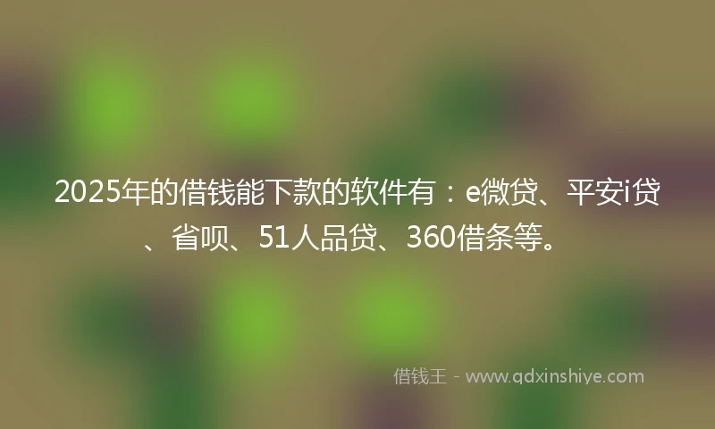 2025年的借钱能下款的软件有：e微贷、平安i贷、省呗、51人品贷、360借条等。
