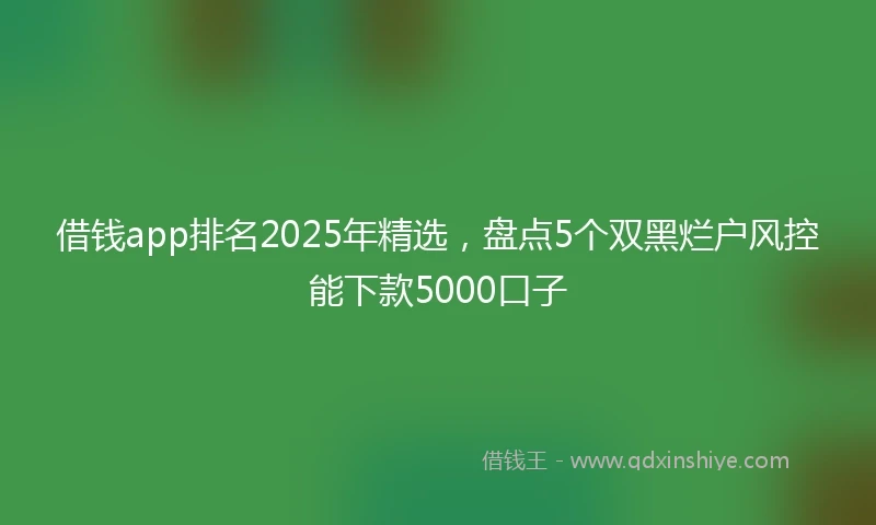 借钱app排名2025年精选，盘点5个双黑烂户风控能下款5000口子