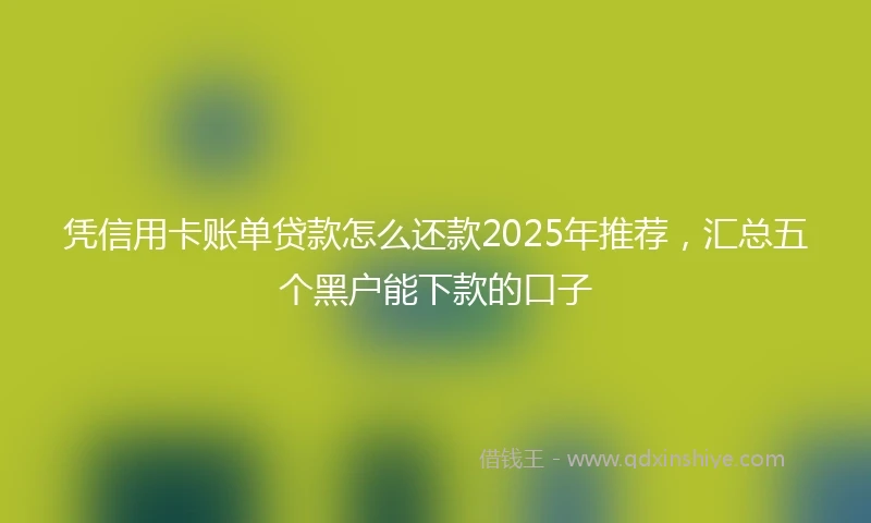 凭信用卡账单贷款怎么还款2025年推荐，汇总五个黑户能下款的口子
