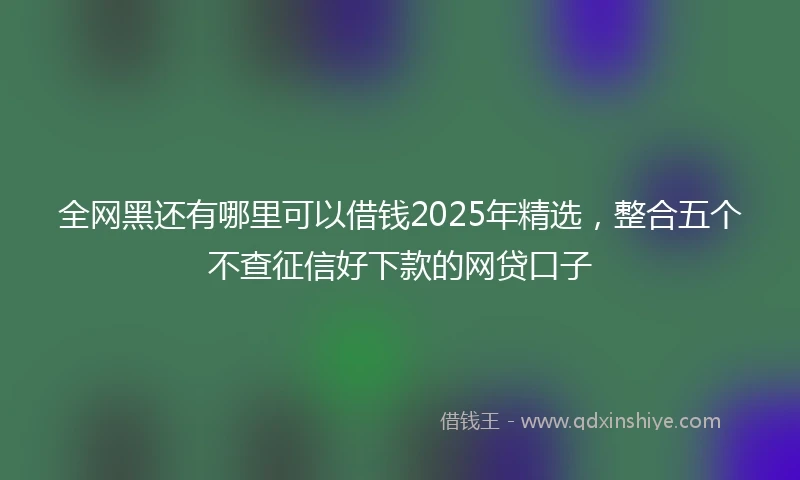 全网黑还有哪里可以借钱2025年精选，整合五个不查征信好下款的网贷口子