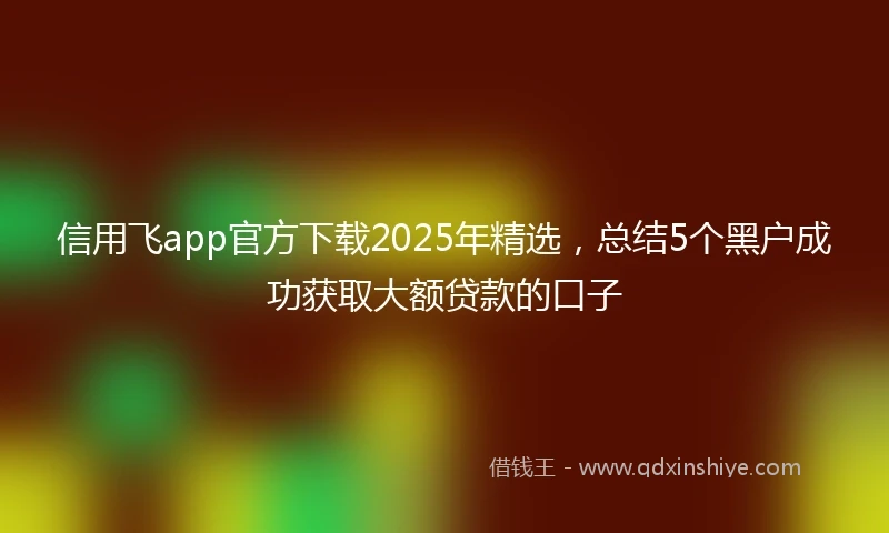 信用飞app官方下载2025年精选，总结5个黑户成功获取大额贷款的口子