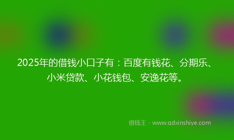 2025年的借钱小口子有：百度有钱花、分期乐、小米贷款、小花钱包、安逸花等。