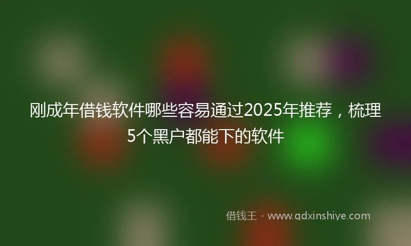 刚成年借钱软件哪些容易通过2025年推荐，梳理5个黑户都能下的软件