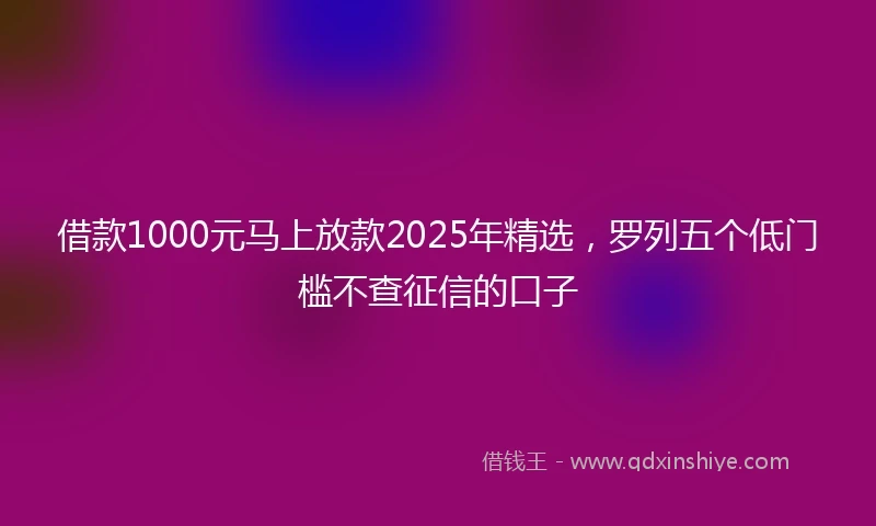借款1000元马上放款2025年精选，罗列五个低门槛不查征信的口子