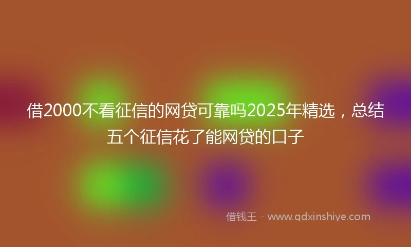 借2000不看征信的网贷可靠吗2025年精选，总结五个征信花了能网贷的口子
