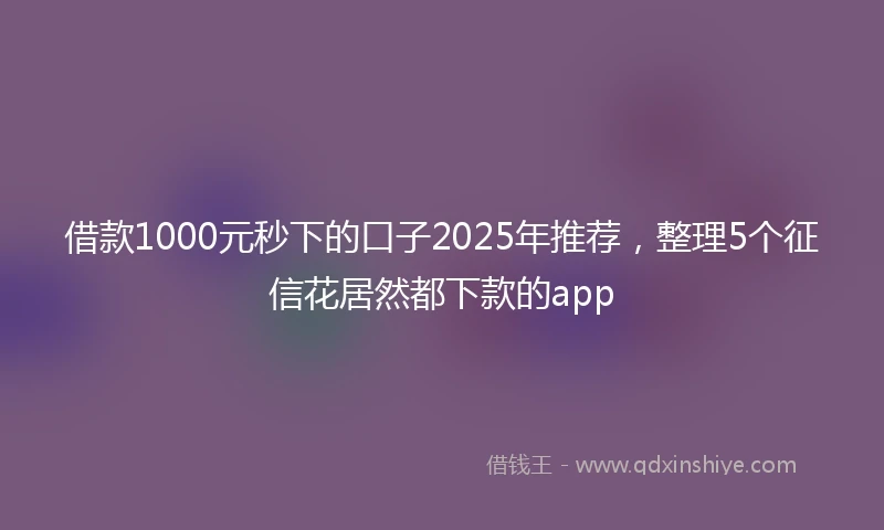 借款1000元秒下的口子2025年推荐，整理5个征信花居然都下款的app