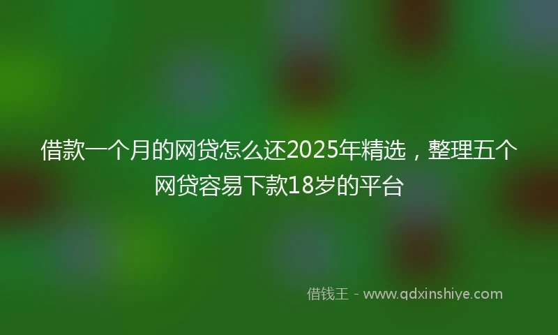 借款一个月的网贷怎么还2025年精选，整理五个网贷容易下款18岁的平台
