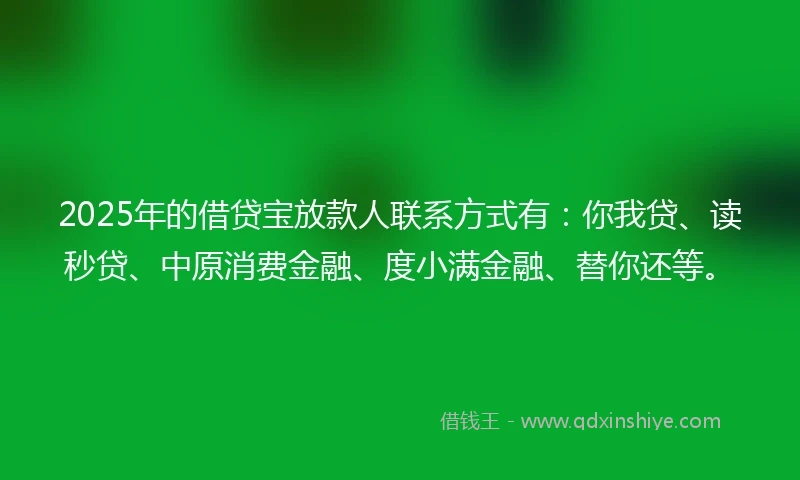 2025年的借贷宝放款人联系方式有：你我贷、读秒贷、中原消费金融、度小满金融、替你还等。