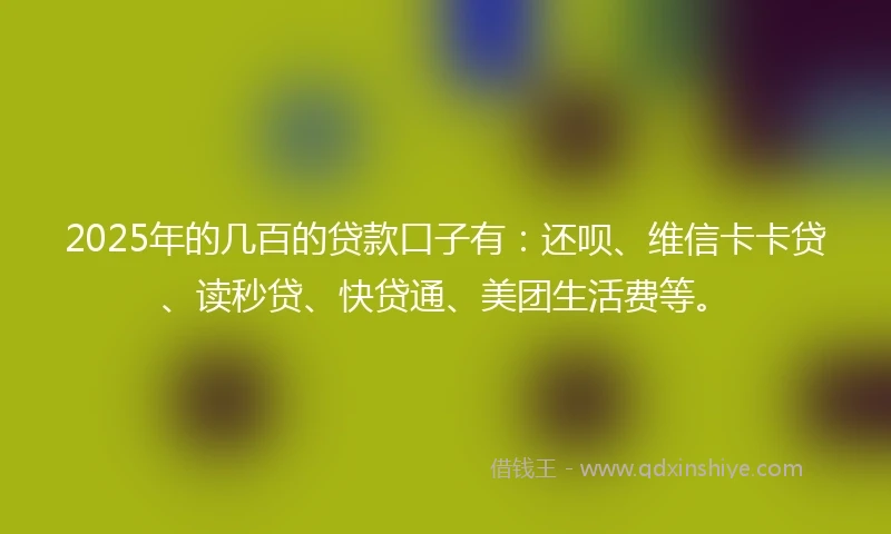 2025年的几百的贷款口子有：还呗、维信卡卡贷、读秒贷、快贷通、美团生活费等。