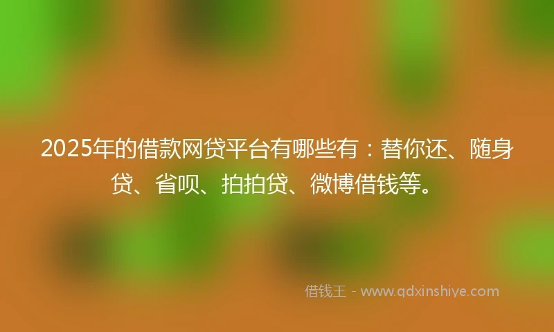 2025年的借款网贷平台有哪些有：替你还、随身贷、省呗、拍拍贷、微博借钱等。