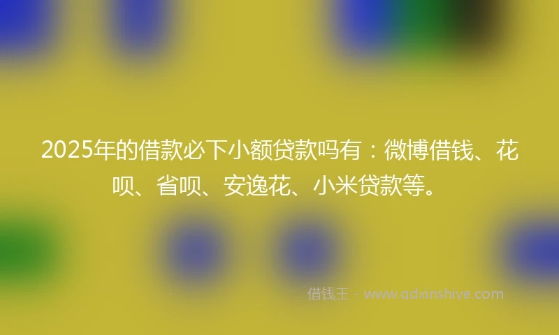 2025年的借款必下小额贷款吗有：微博借钱、花呗、省呗、安逸花、小米贷款等。
