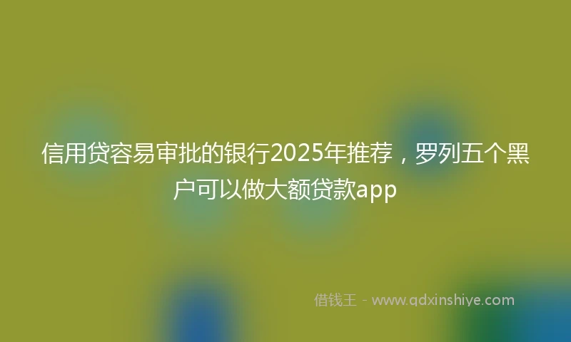 信用贷容易审批的银行2025年推荐，罗列五个黑户可以做大额贷款app