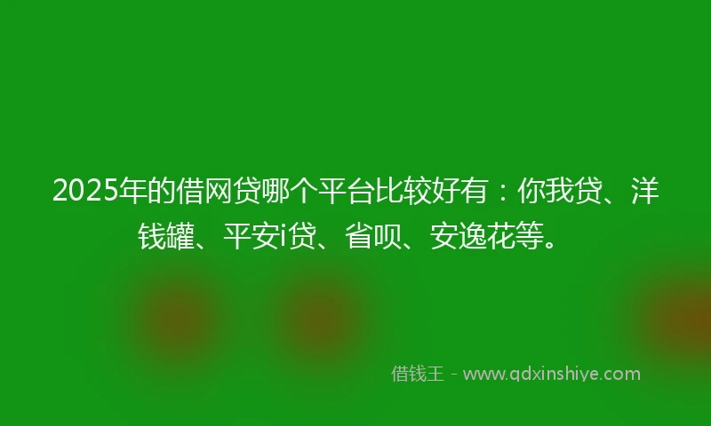 2025年的借网贷哪个平台比较好有：你我贷、洋钱罐、平安i贷、省呗、安逸花等。