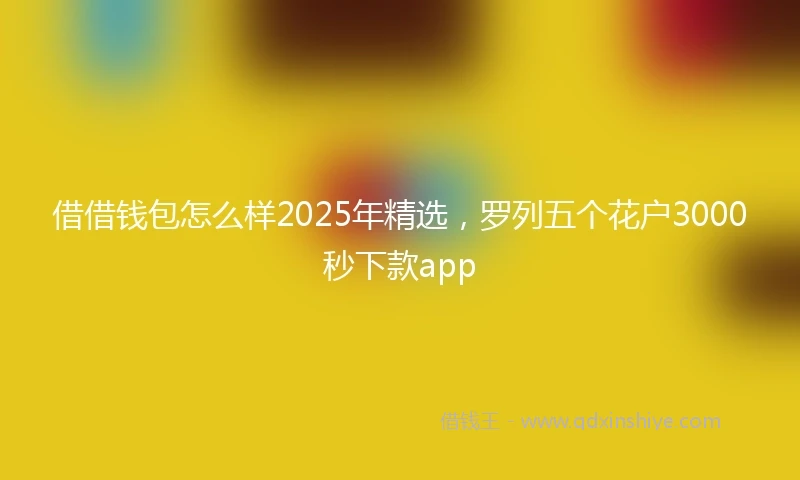 借借钱包怎么样2025年精选，罗列五个花户3000秒下款app