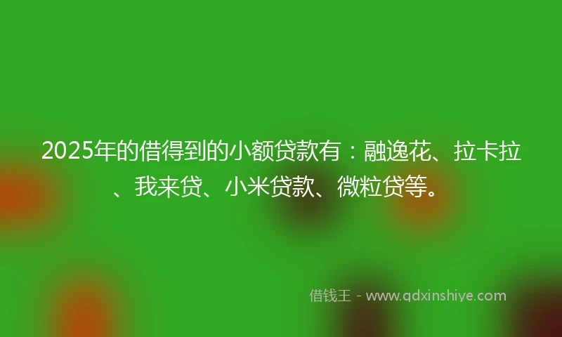 2025年的借得到的小额贷款有：融逸花、拉卡拉、我来贷、小米贷款、微粒贷等。