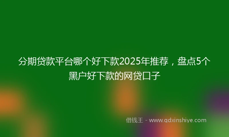 分期贷款平台哪个好下款2025年推荐，盘点5个黑户好下款的网贷口子