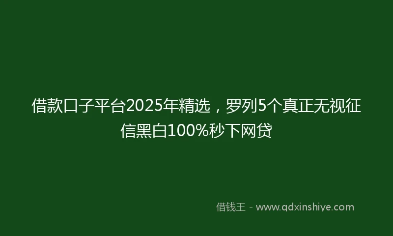 借款口子平台2025年精选，罗列5个真正无视征信黑白100%秒下网贷